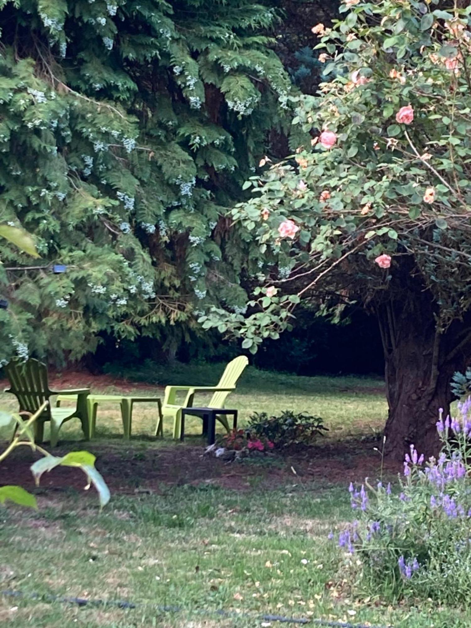 A 2 Heures De Paris, Loft Romantique De 55 M2 En Pleine Nature Entre Campagne Et Mer Saint-Philbert-des-Champs Buitenkant foto
